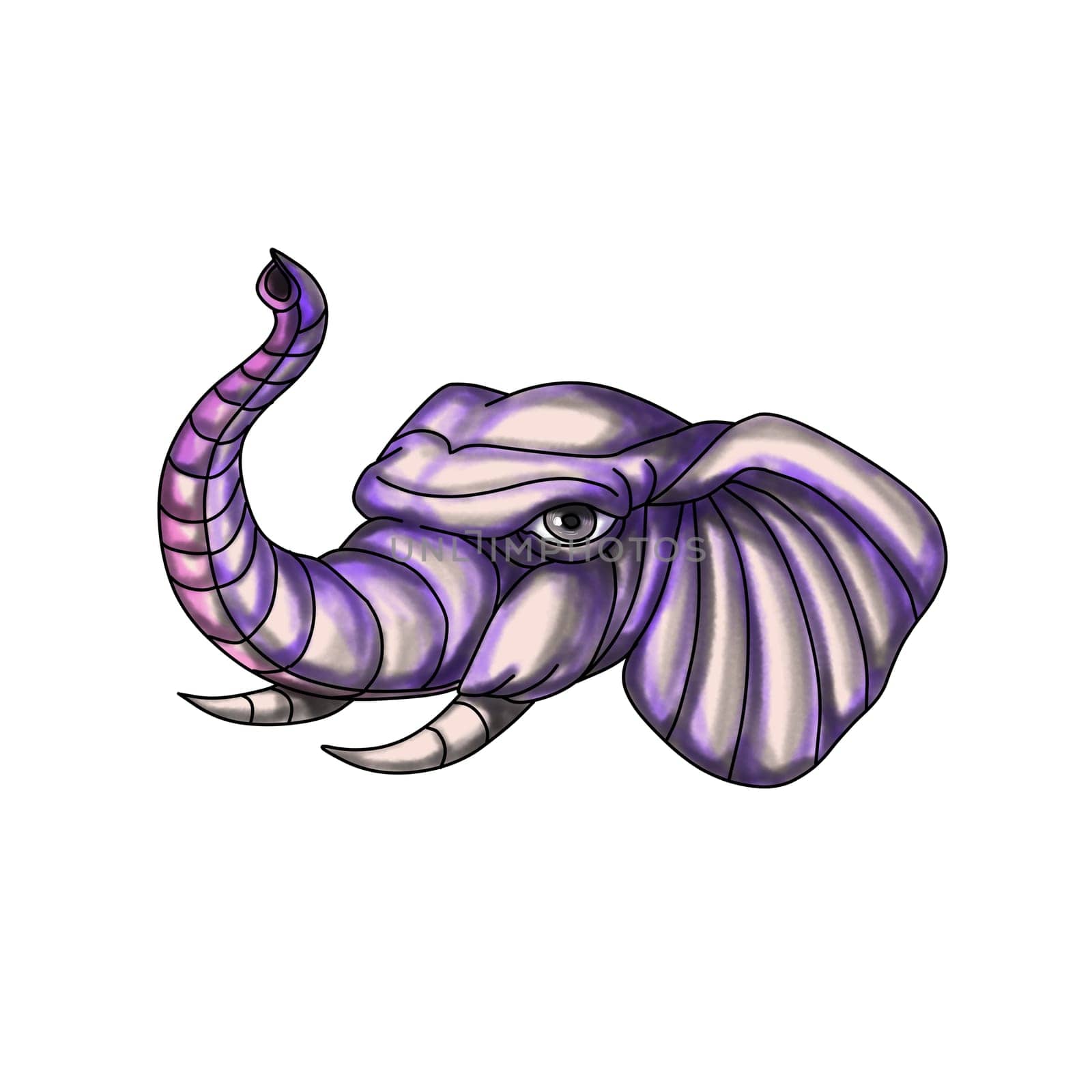 Tattoo style illustration of an elephant head with trunk raised up set on isolated white background.