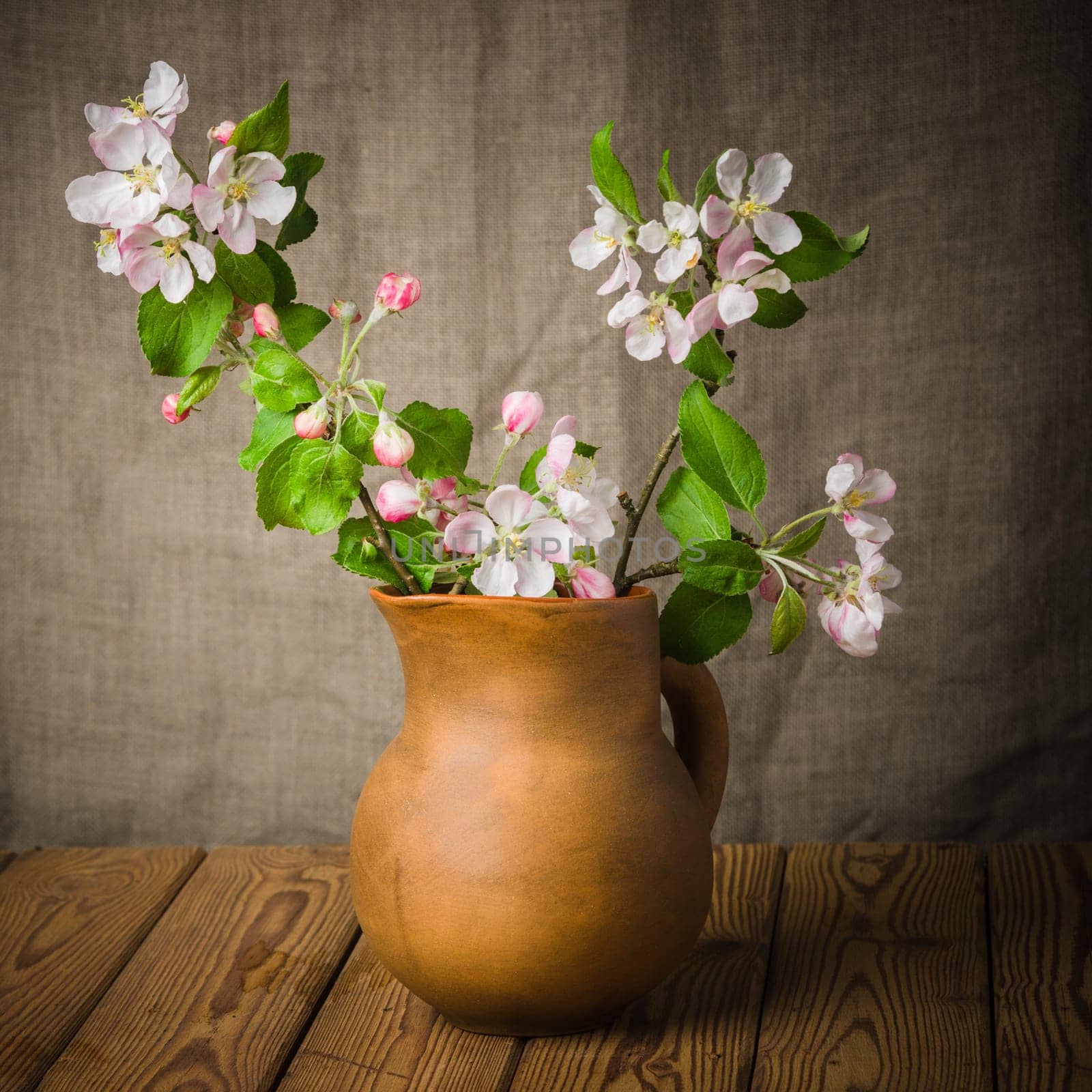 Branch of a blossoming apple-tree in a clay pitcher, close-up