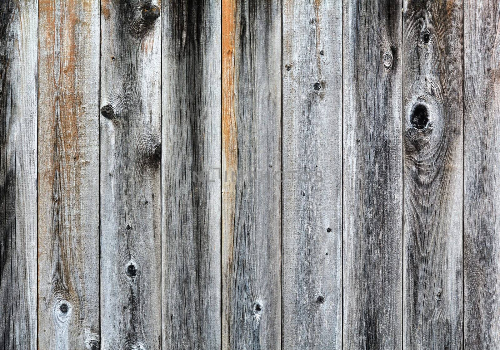 Wood