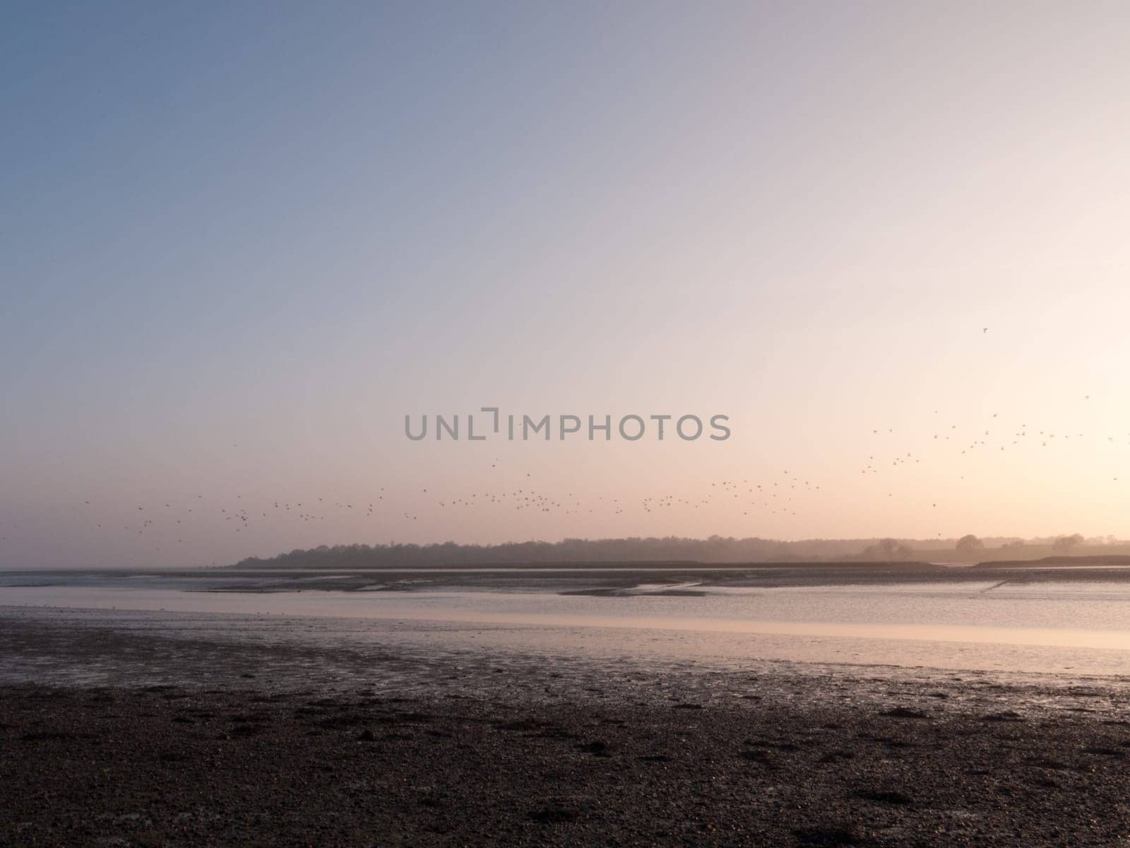 Various shots of the river and the mud, along with many birds, buoys, and other sea structures, as the sun sets