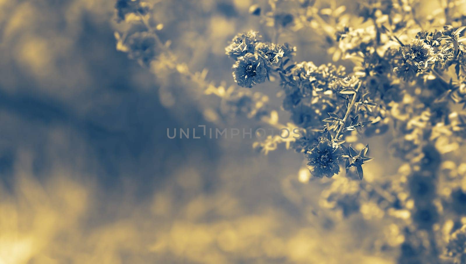 Floral background with neutral copy space suitable for sympathy, condolences, funeral or sad greeting card .