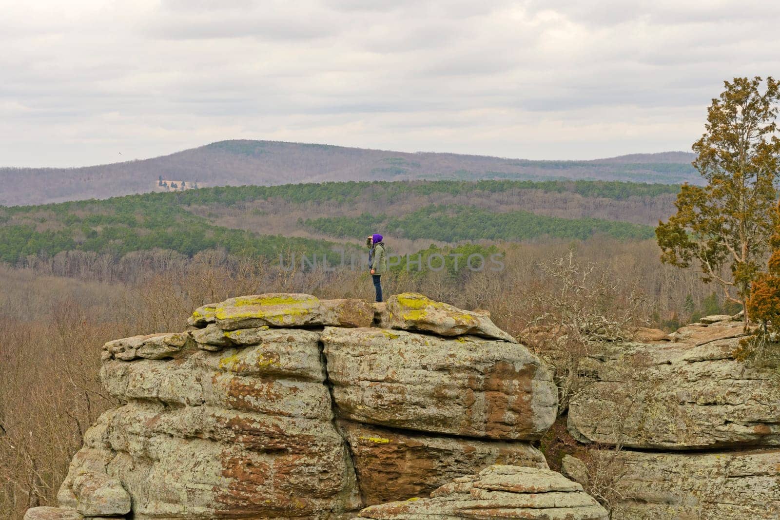 Searching across the canyon in Garden of the Gods in Shawnee National Forest in Illinois