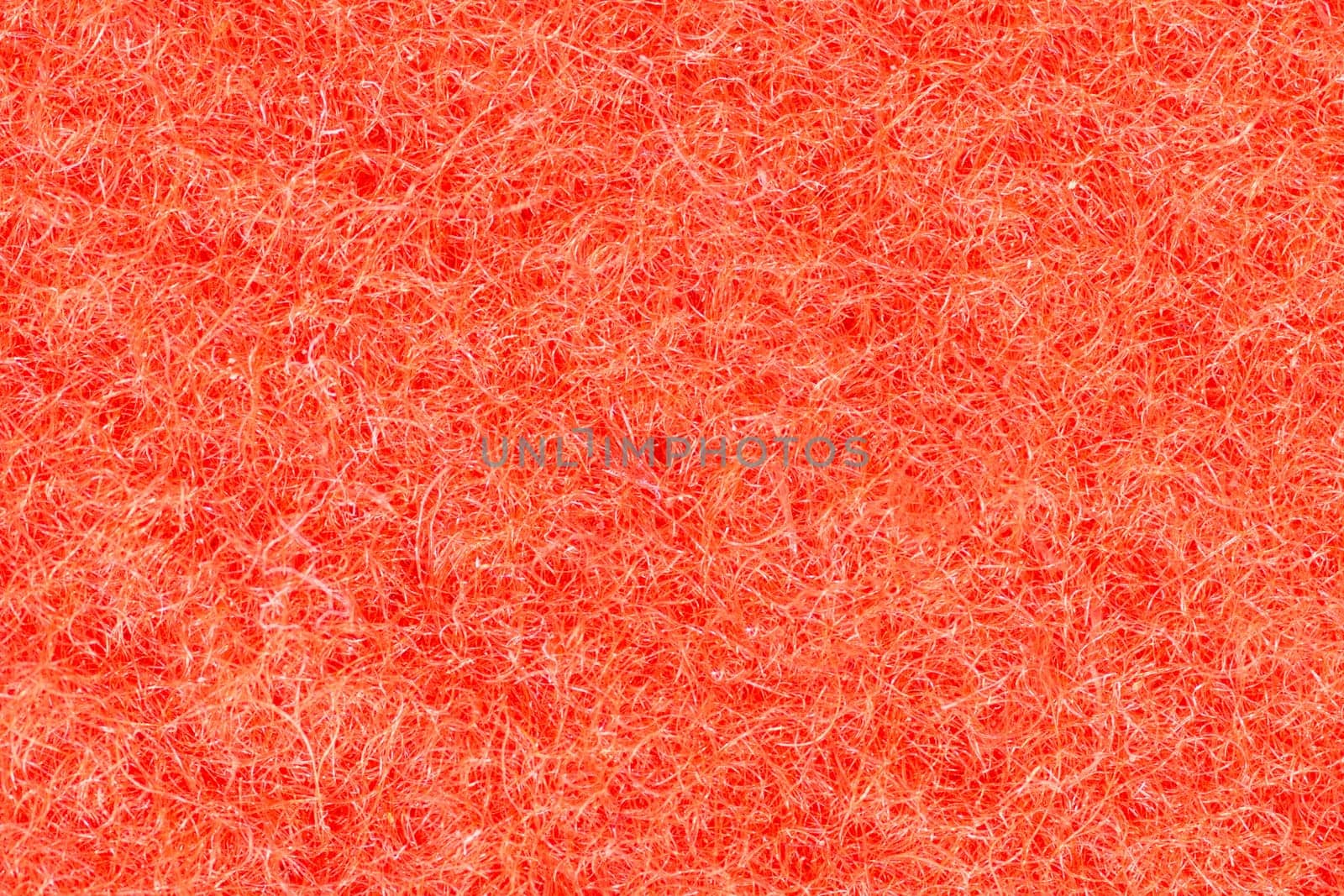 Close-up of a carpet