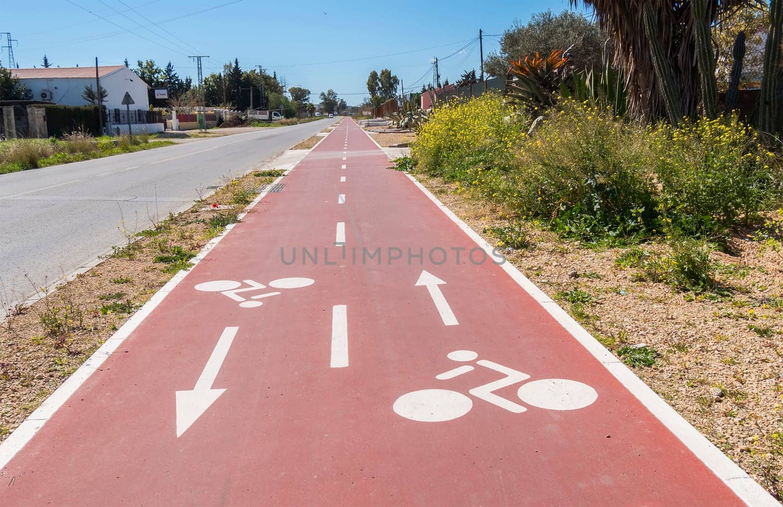 Traffic signs  drawn in the Cycleway
