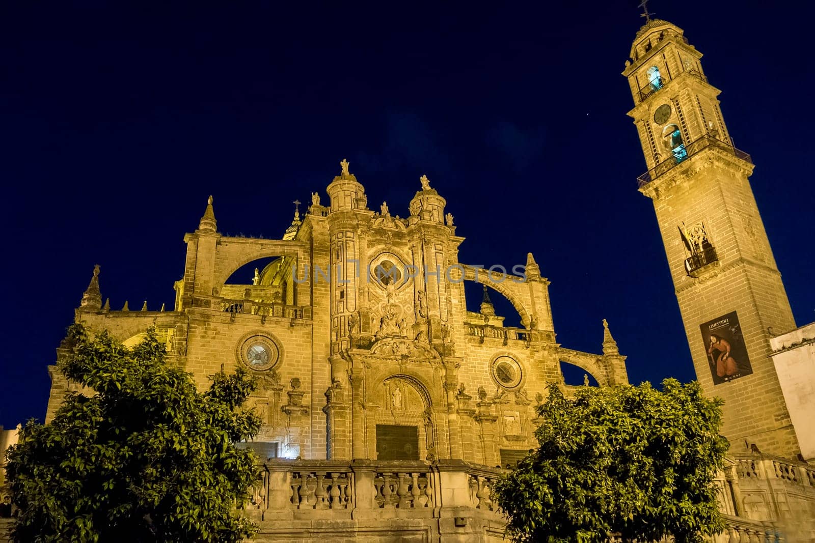 Jerez de la Frontera Cathedral at night, Spain