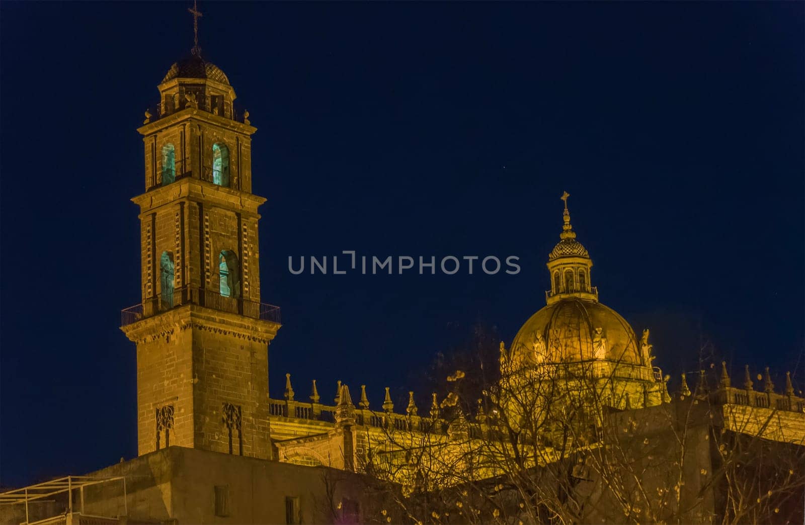 Jerez de la Frontera Cathedral at night