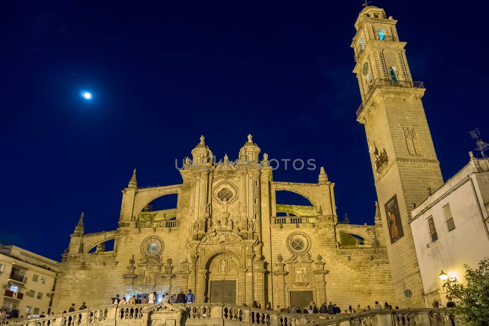Jerez de la Frontera Cathedral at night