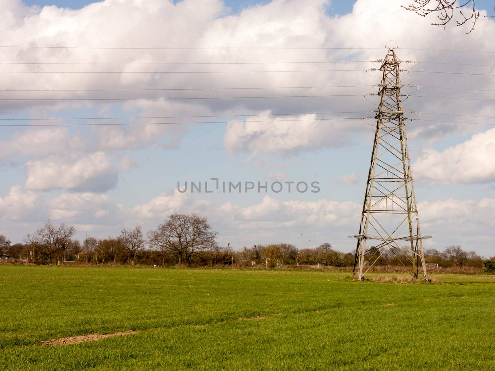 A lush farmer's field in the early start of spring
