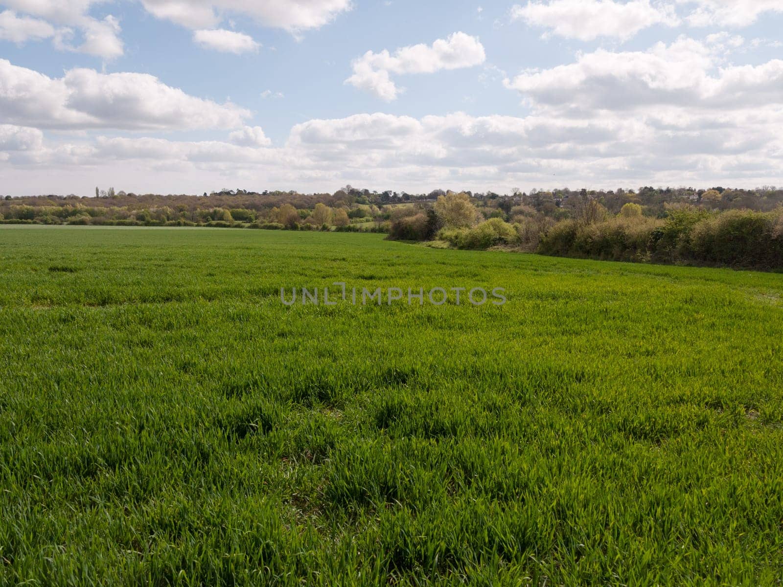 A Lovely Lush Meadow on A Clear Sping Day with Beautiful Clouds and Farm Fields of Plenty of Green Grass and open Space, Freedom and Happiness, and Wellbeing, nobody around, at peace and in heaven