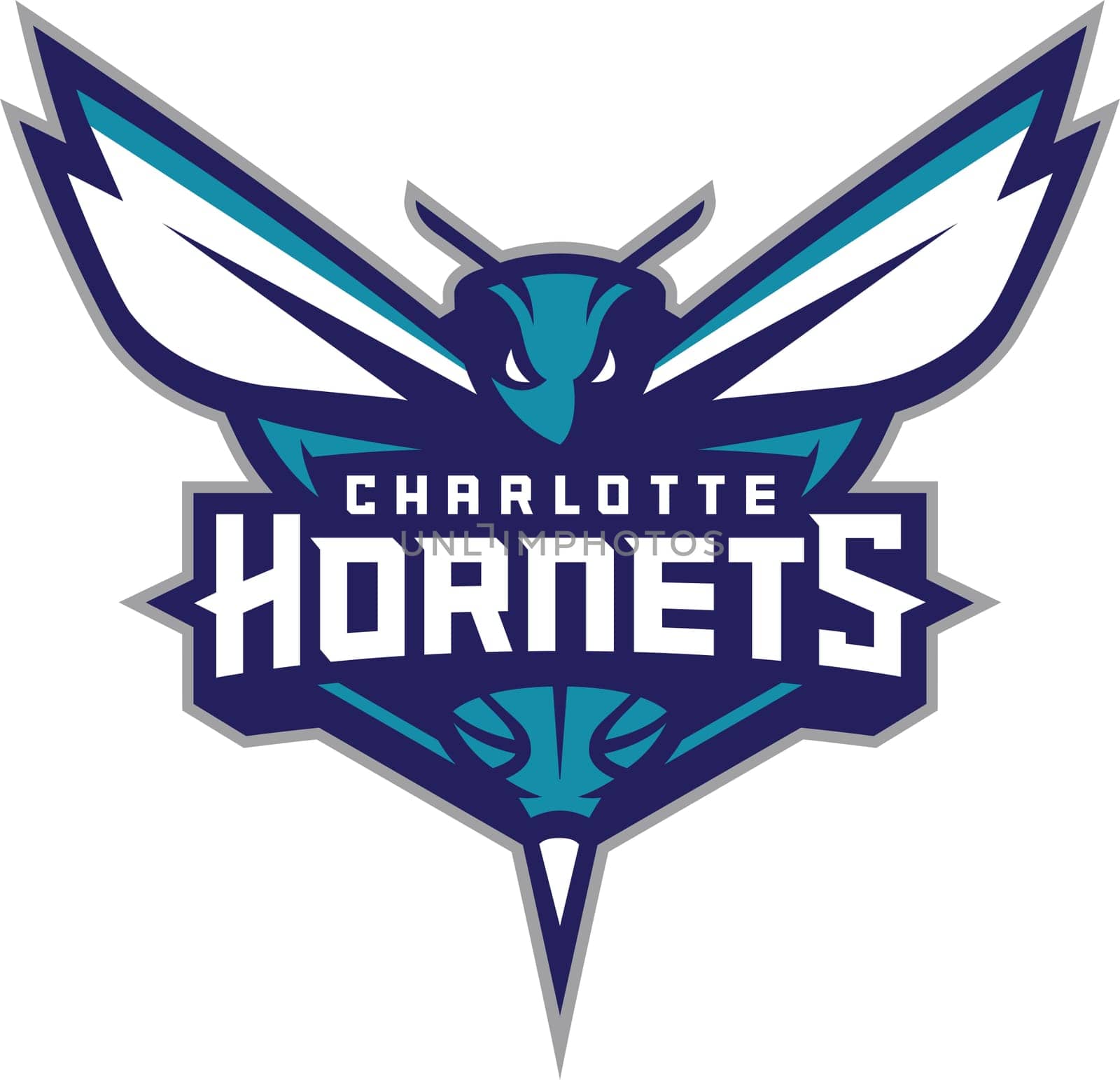 Charlotte Hornets logo NBA