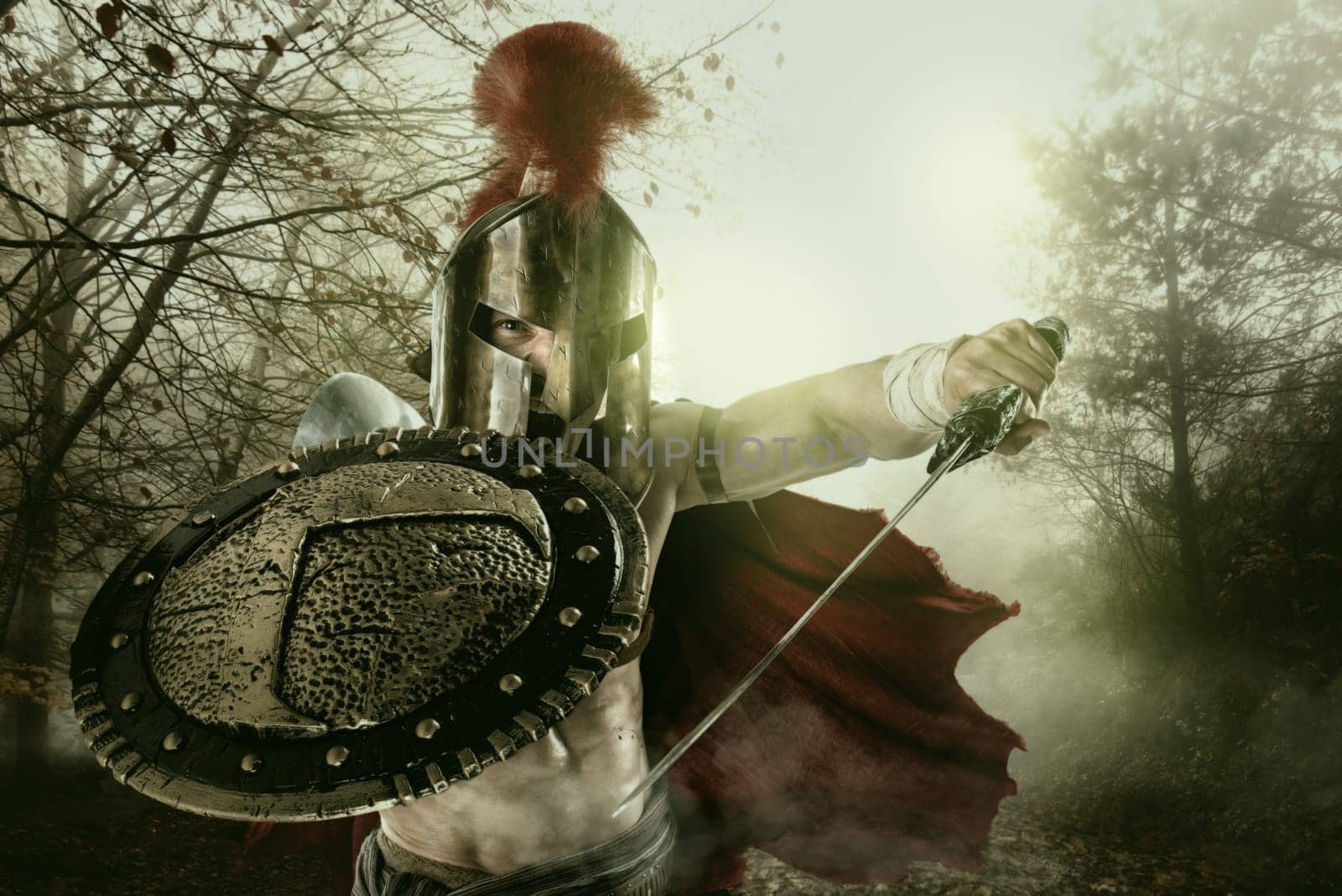 Ancient warrior or Gladiator ready to battle in a forest
