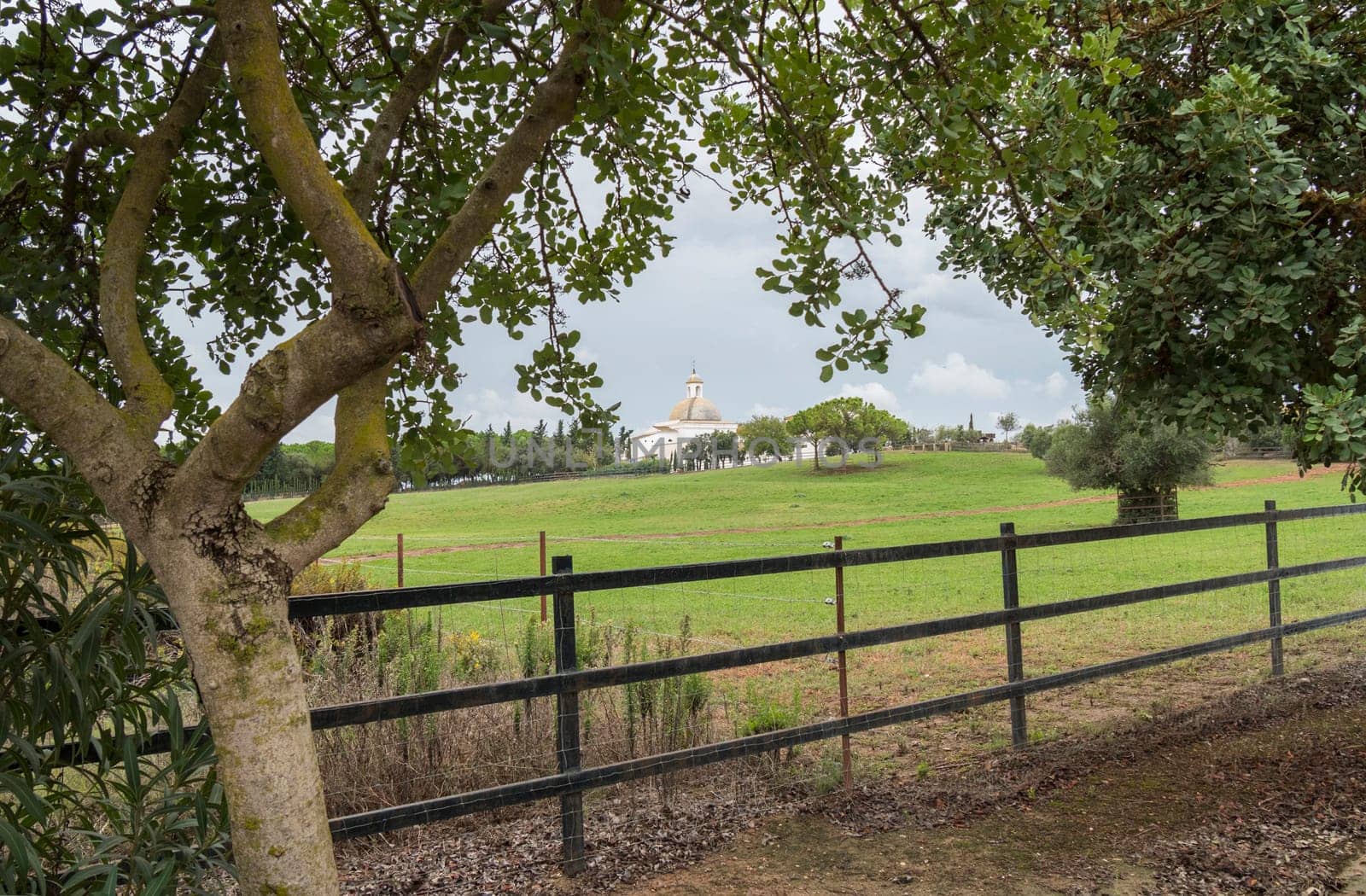 House in the country, farmland, landscape