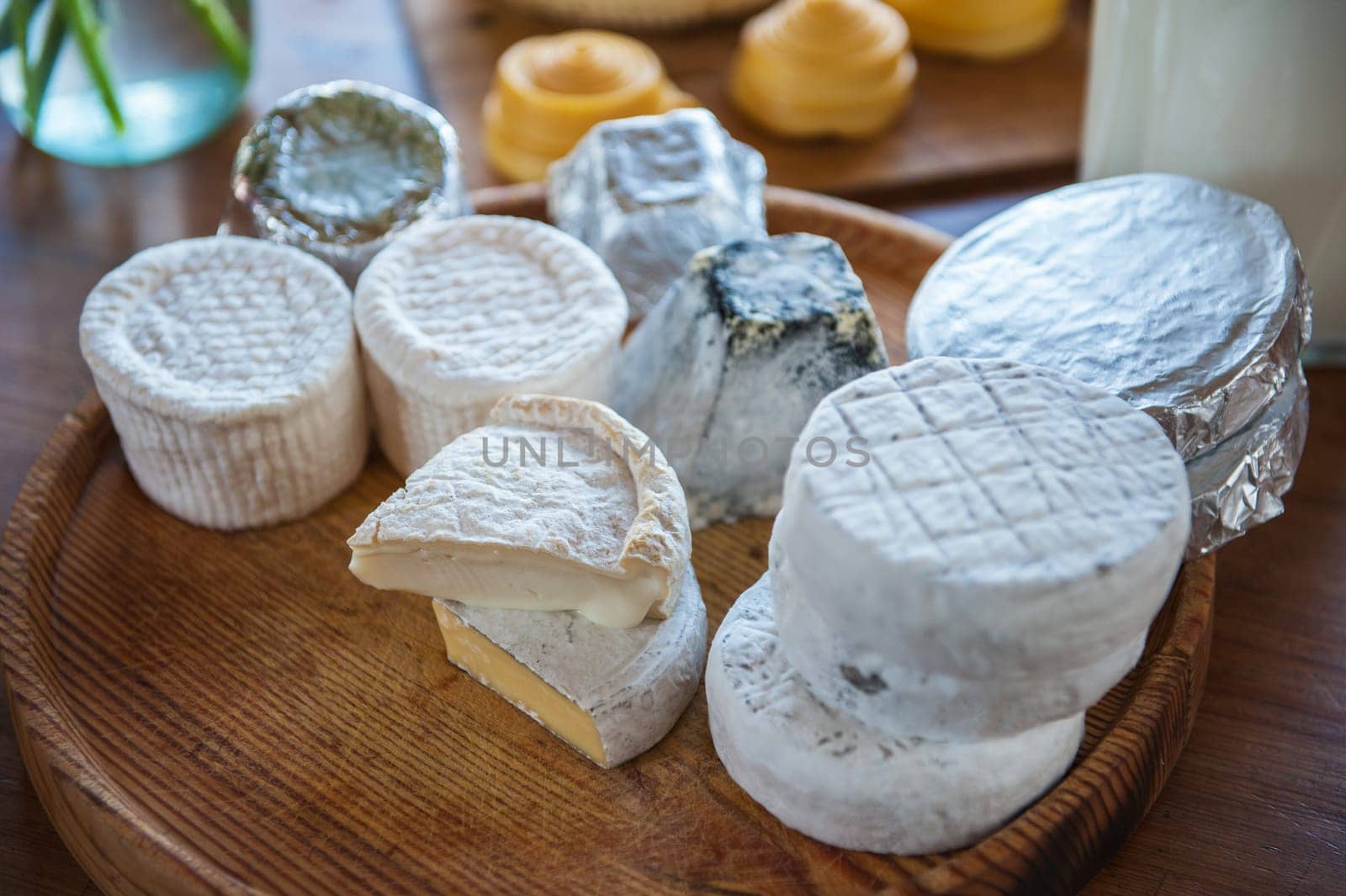 Set of different cheese: camembert, croton, mozzarella, smoked mozzarella and other