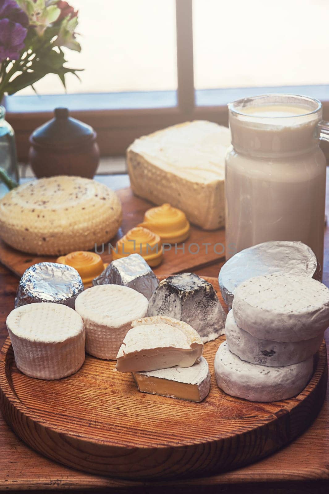 Set of different cheese: camembert, croton, mozzarella, smoked mozzarella and other