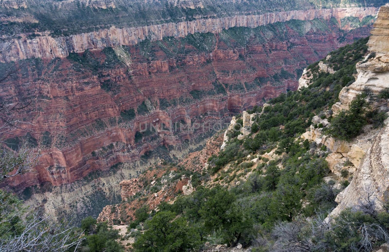 Colorful view of the Grand Canyon with layers of rock visible as seen from the North Rim