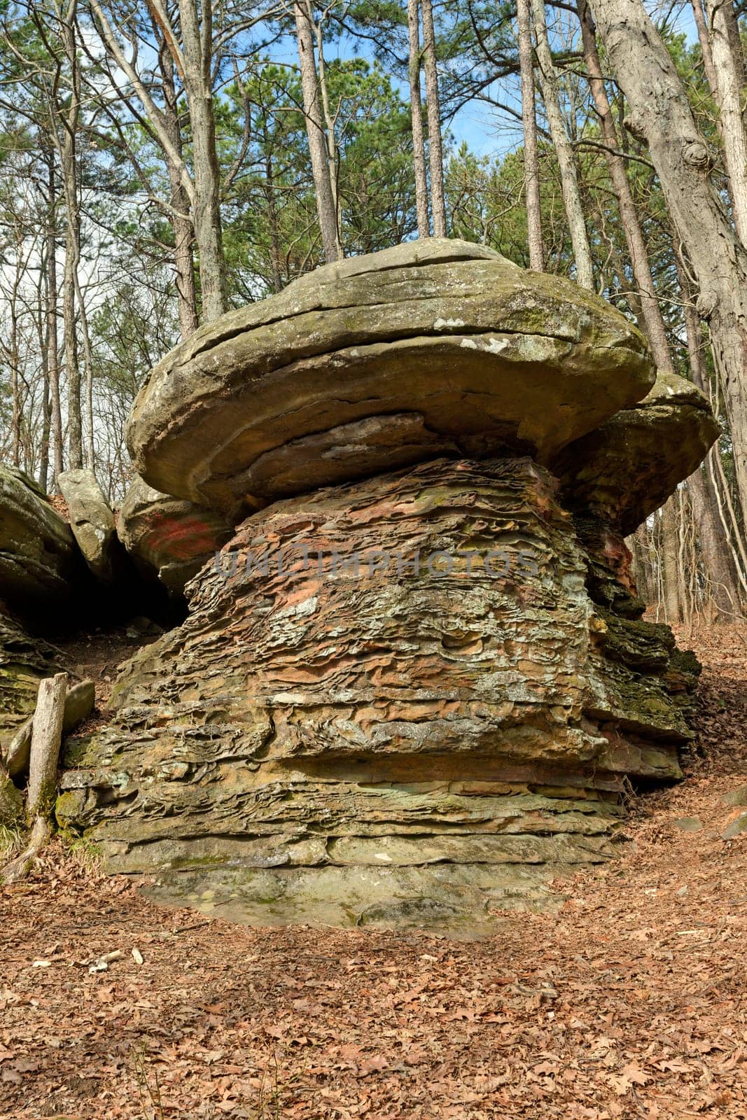 Mushroom Rock in the Forest in Garden of the Gods in Shawnee National Forest in Illinois