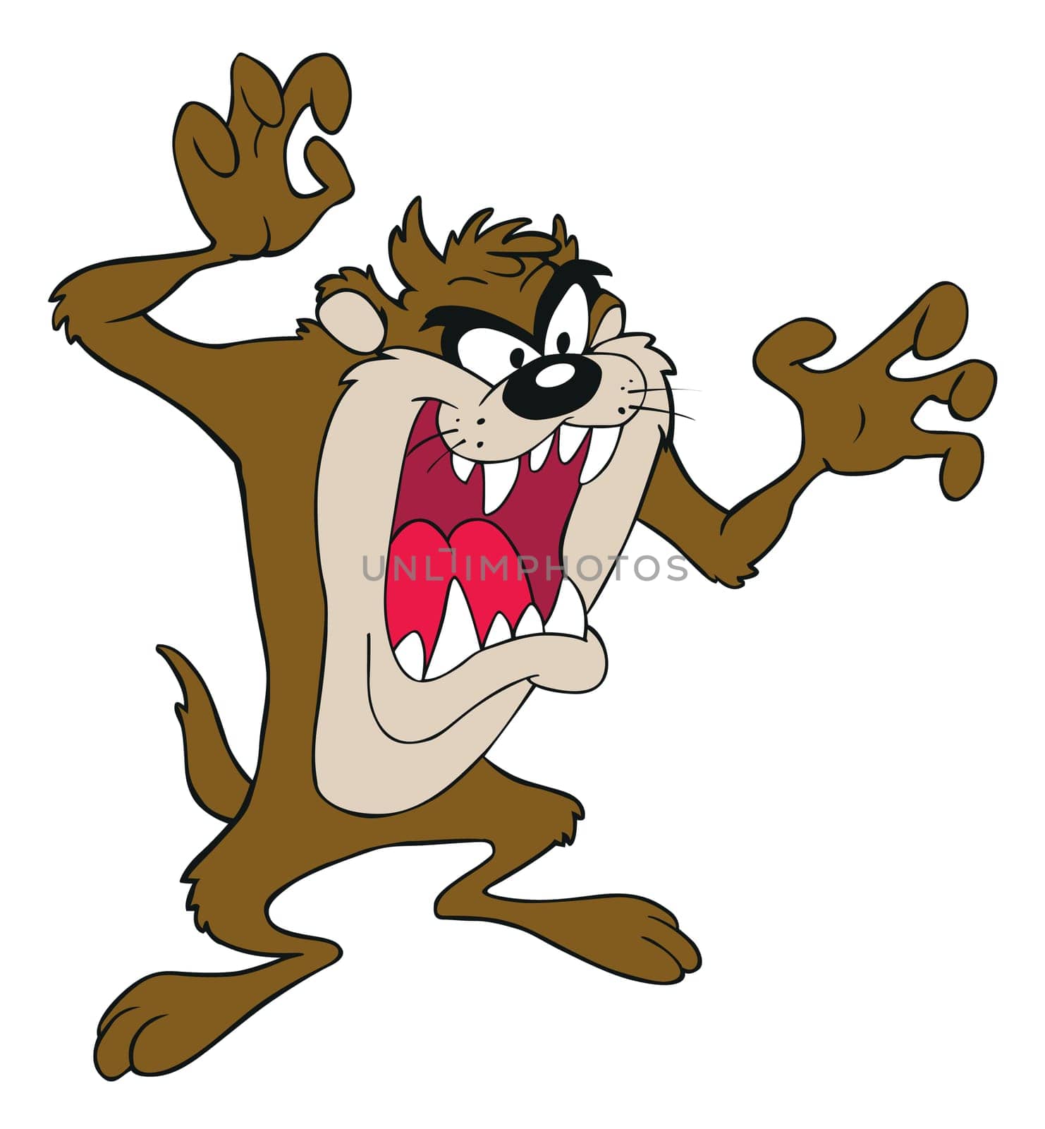 taz tasmanian illustration cartoon