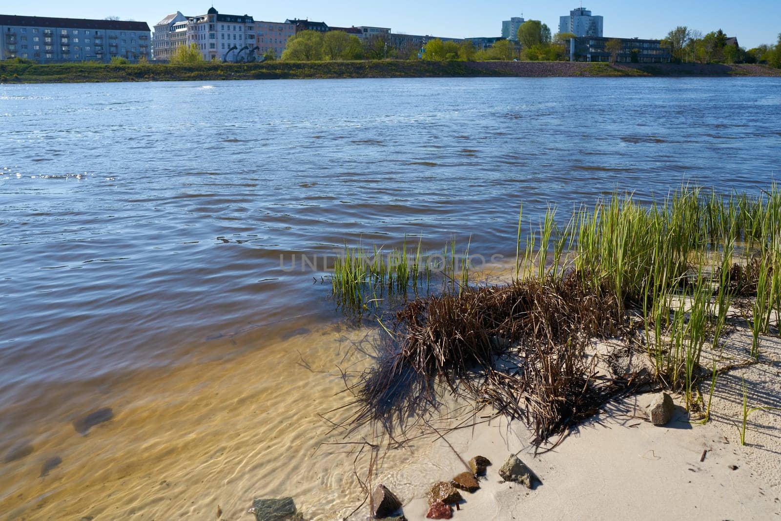 on the banks of the Elbe near Magdeburg
