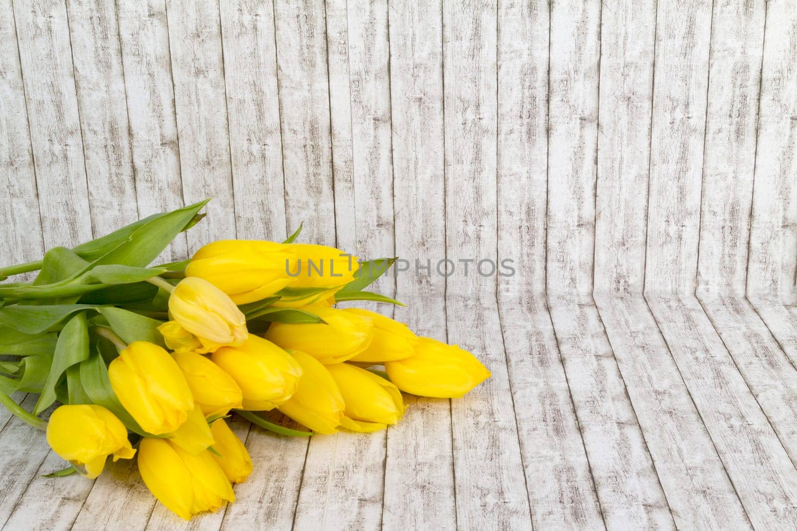 Beautiful yellow tulip bouquet on background with structure
