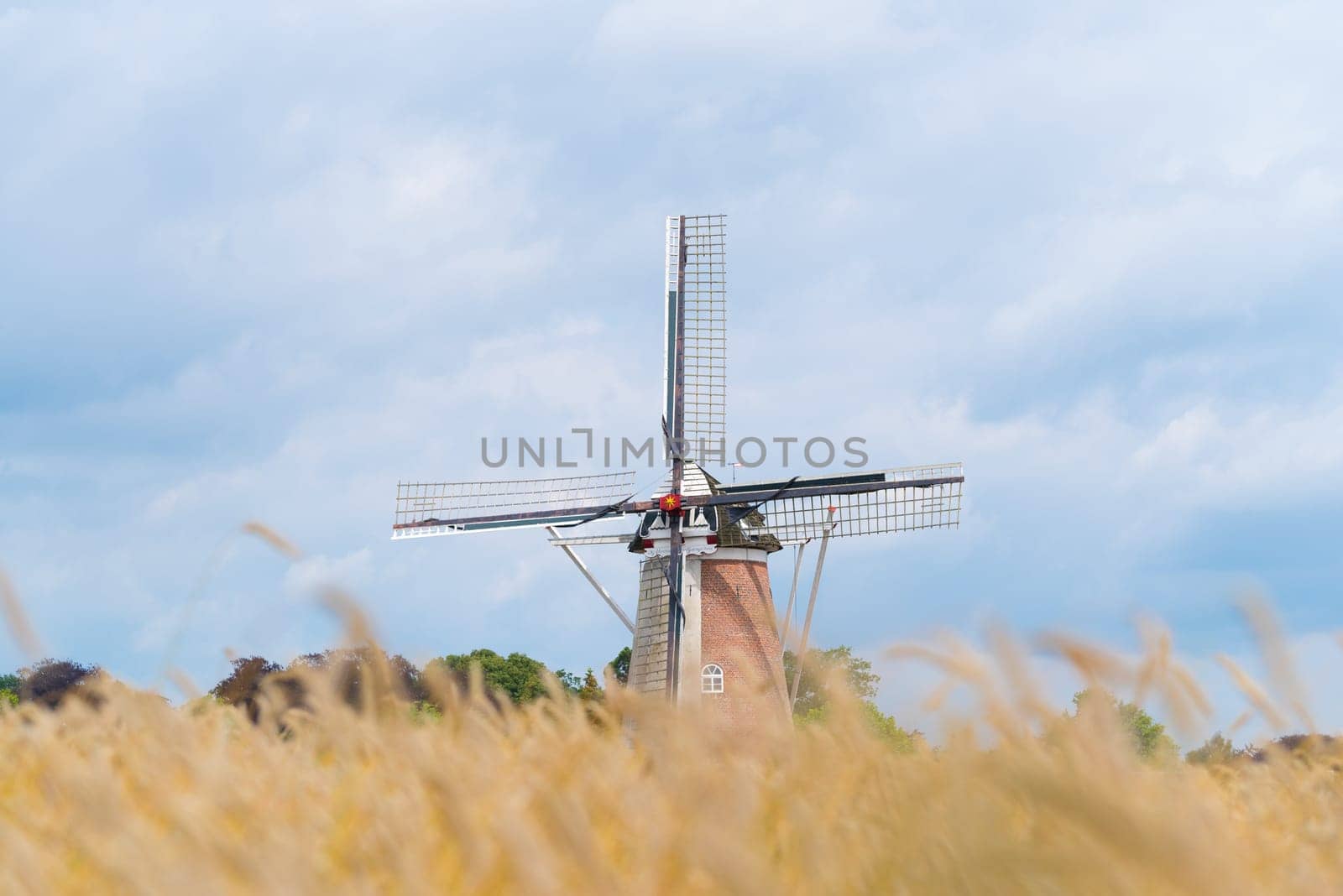 agricultural landscape with a windmill and wheat field in front