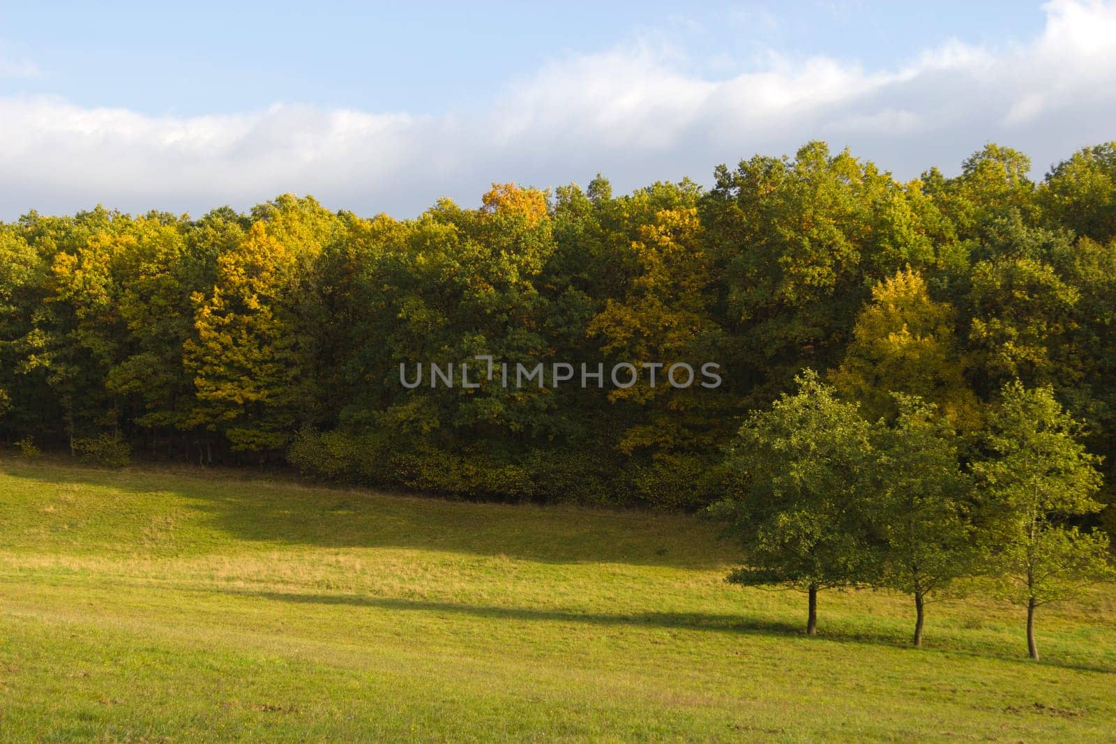 Beautiful autumn landscape in Central Hesse