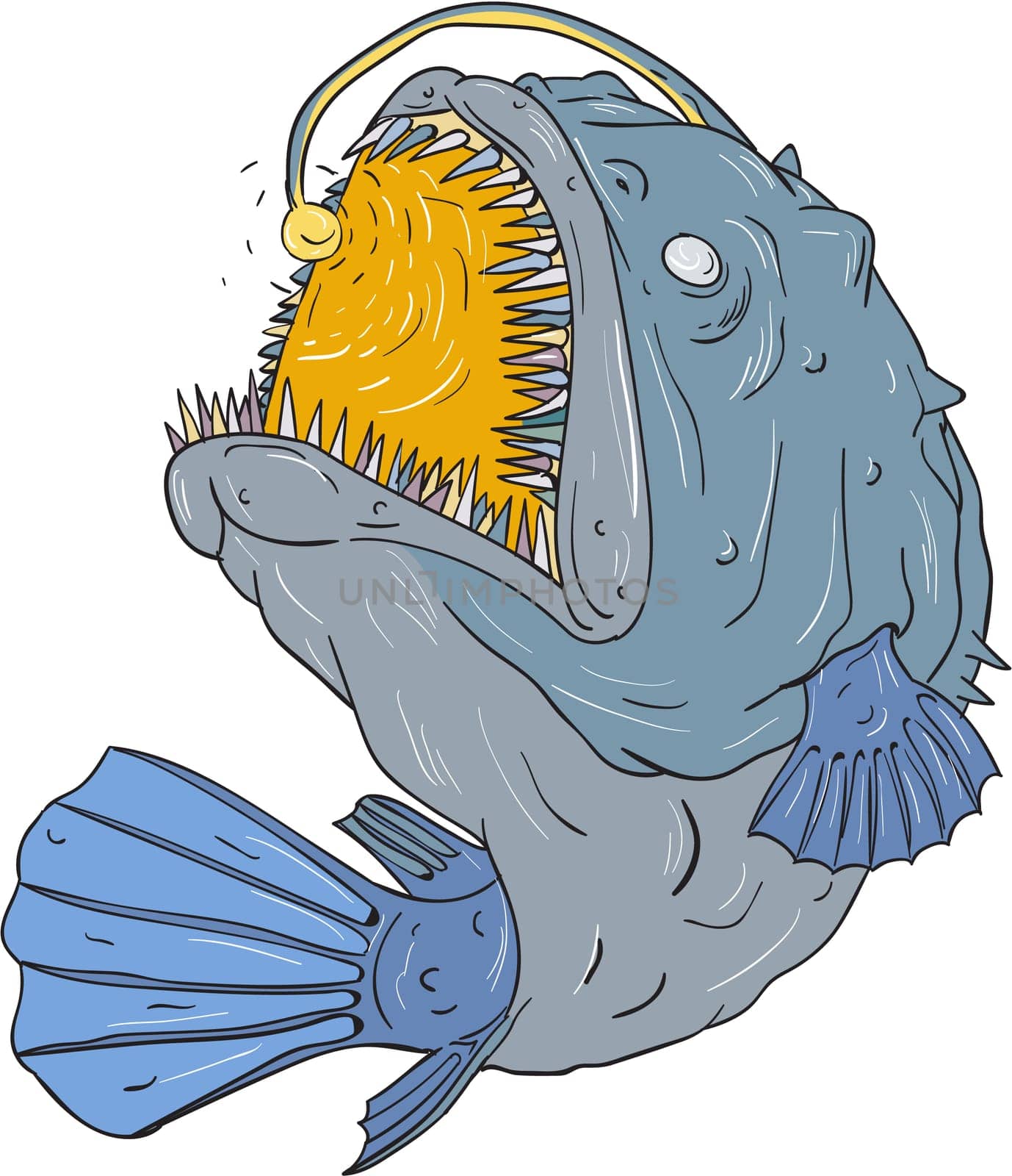 Drawing sketch style illustration of an Anglerfish of teleost order Lophiiformes that are bony fish named for their characteristic mode of predation, which a fleshy growth from fish's head (the esca or illicium) acts as a lure, swooping up viewed from the side set on isolated white background.