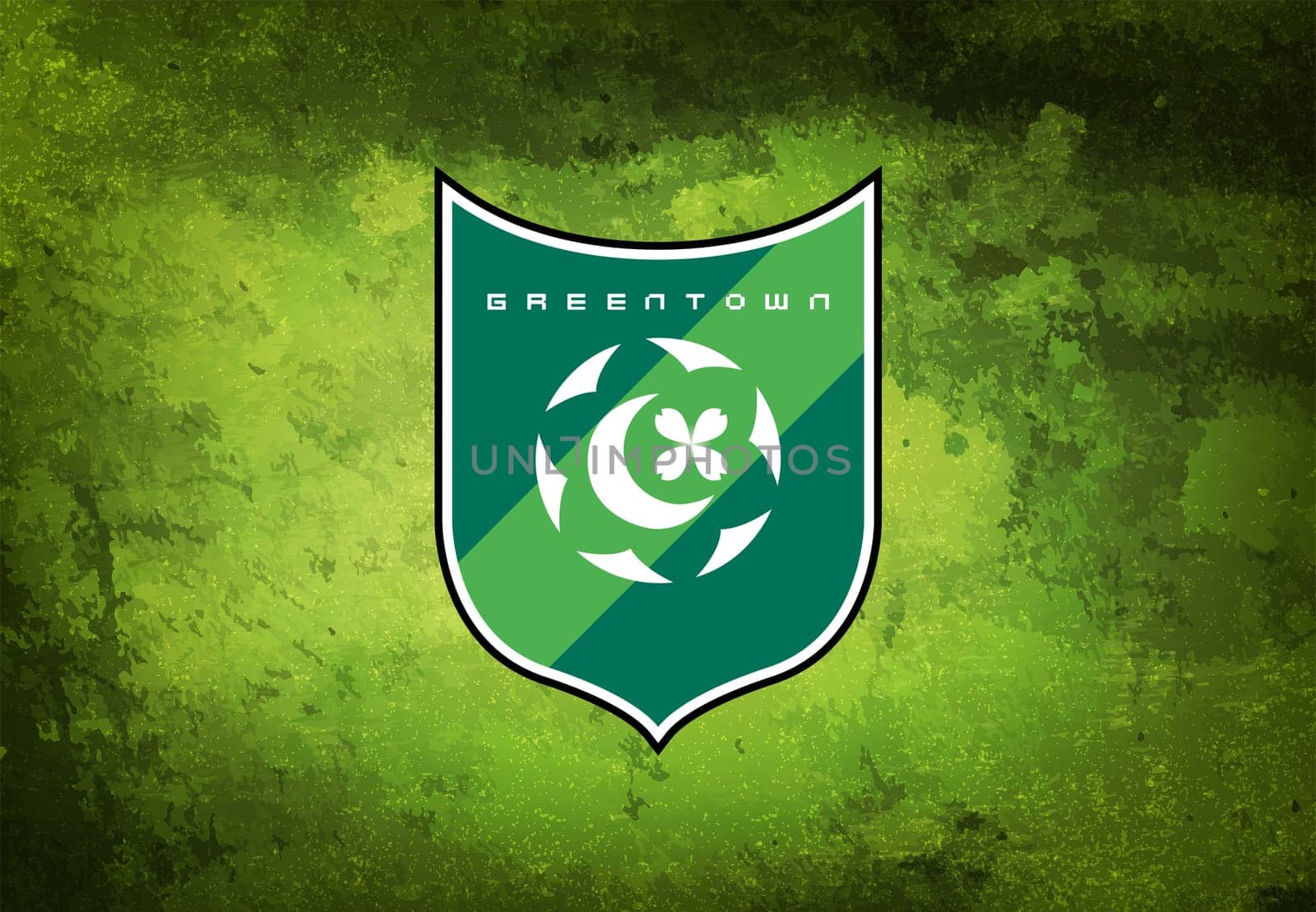 Hangzhou Greentown FC china
