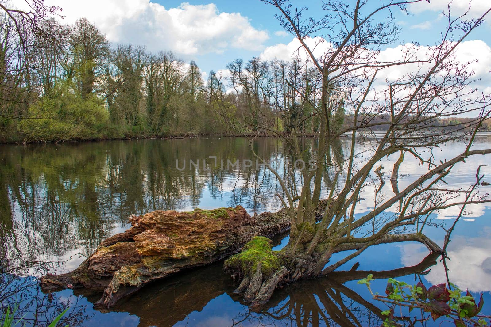 Lake Krickenbeck in Germany