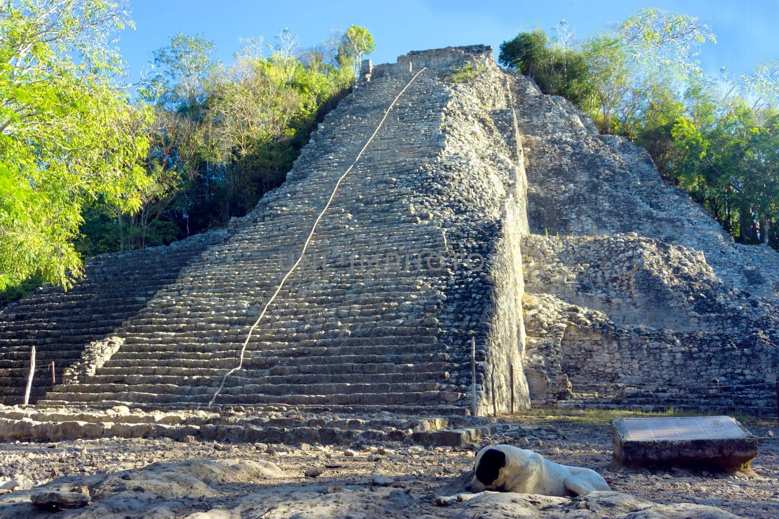 Nohoch Mul pyramid in in the Mayan ruins of Coba, Mexico