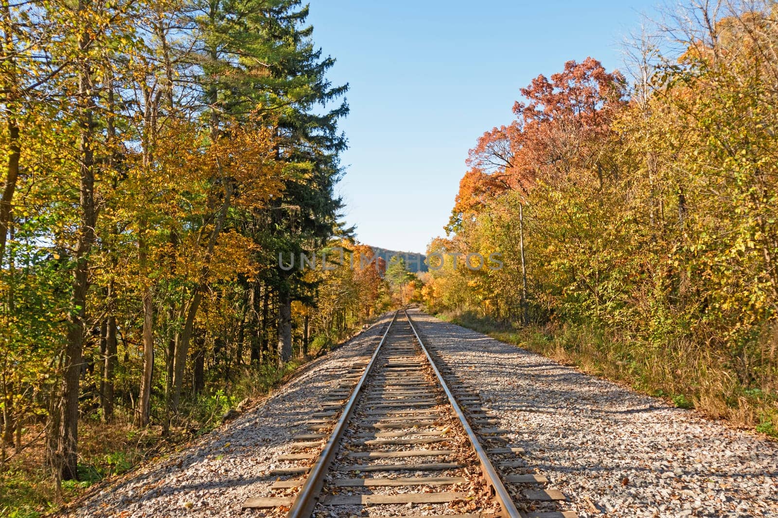 Railroad through the Fall Forest in Devils Lake State Park in Wisconsin