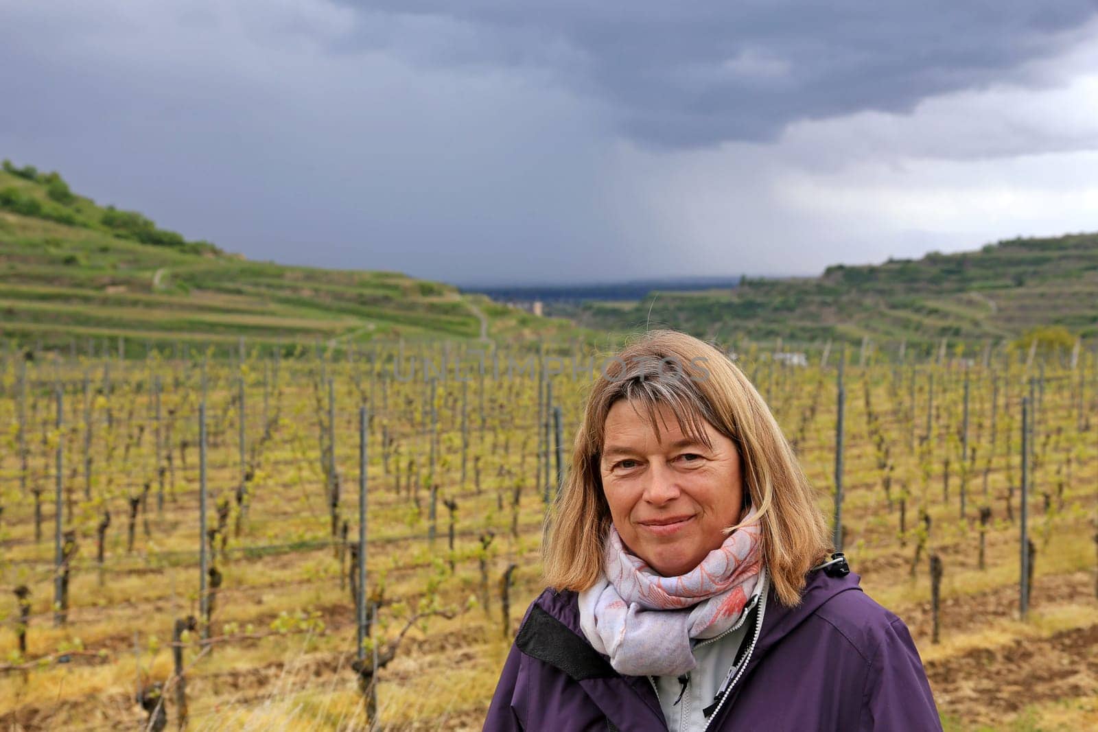 Hiking in the Kaiserstuhl