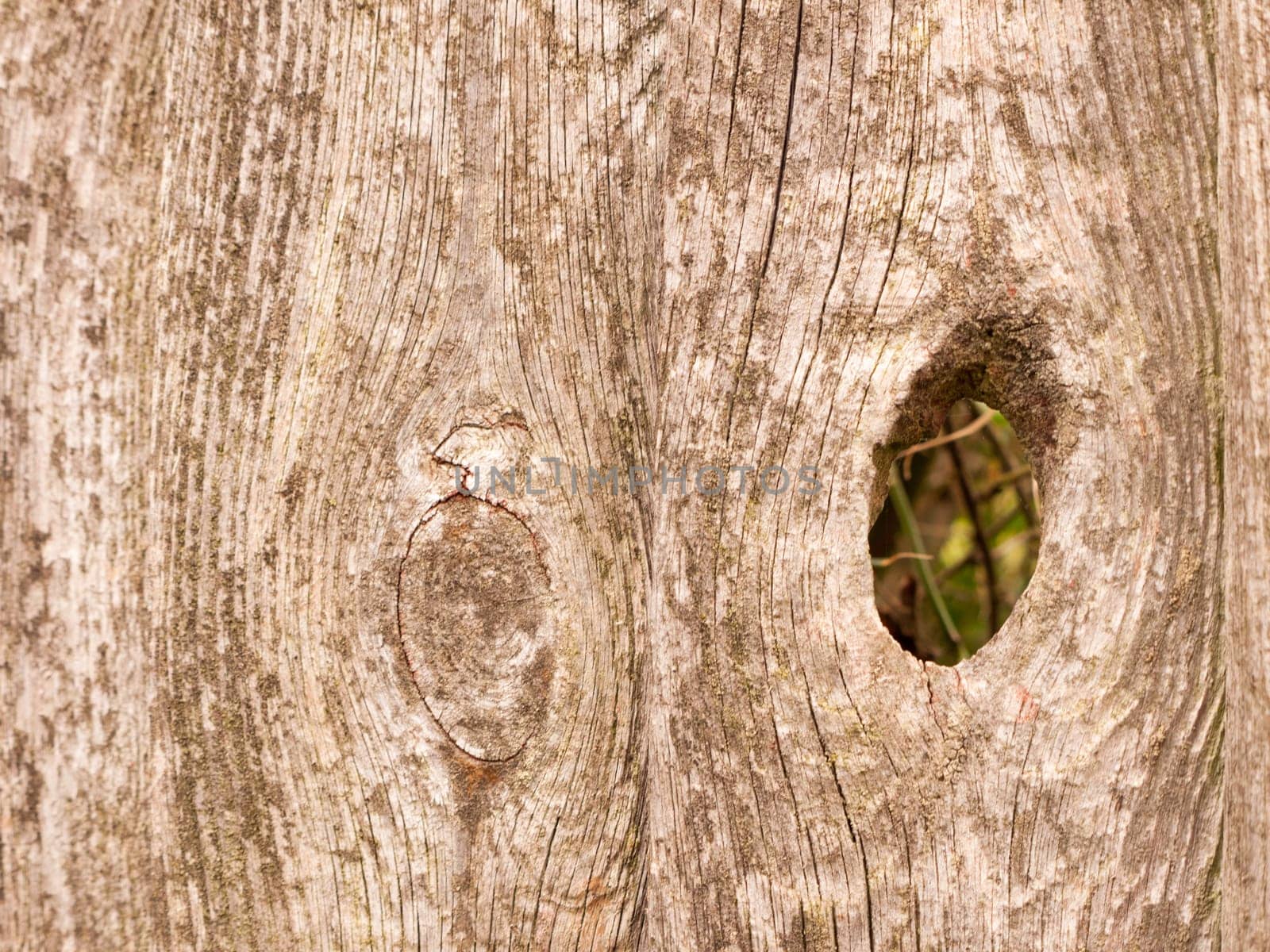 close up of wooden fence outside with a big hole in the right