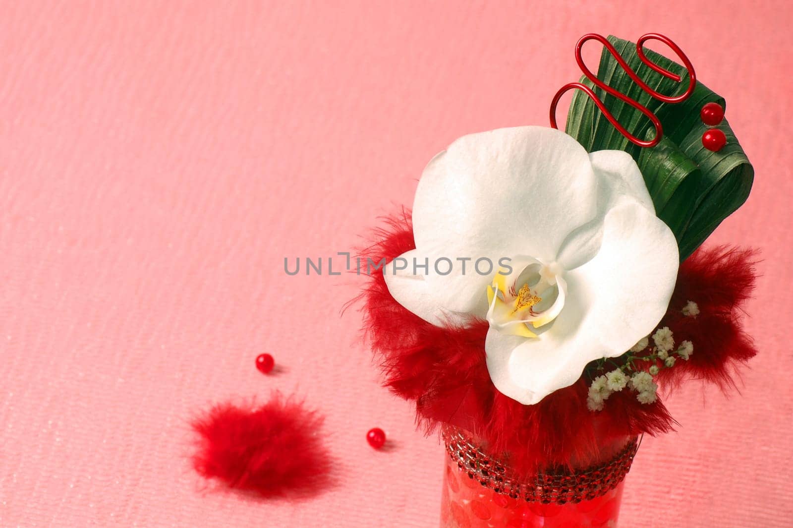 Decoration with white orchid on pink background.