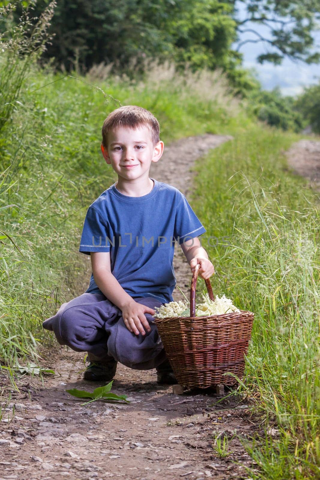 Czech Republic - collecting elder blossom flower - boy with full herbs flower basket on way