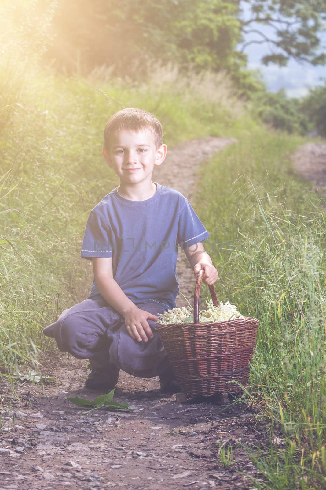 Czech Republic - collecting elder blossom flower - boy with full herbs flower basket on way