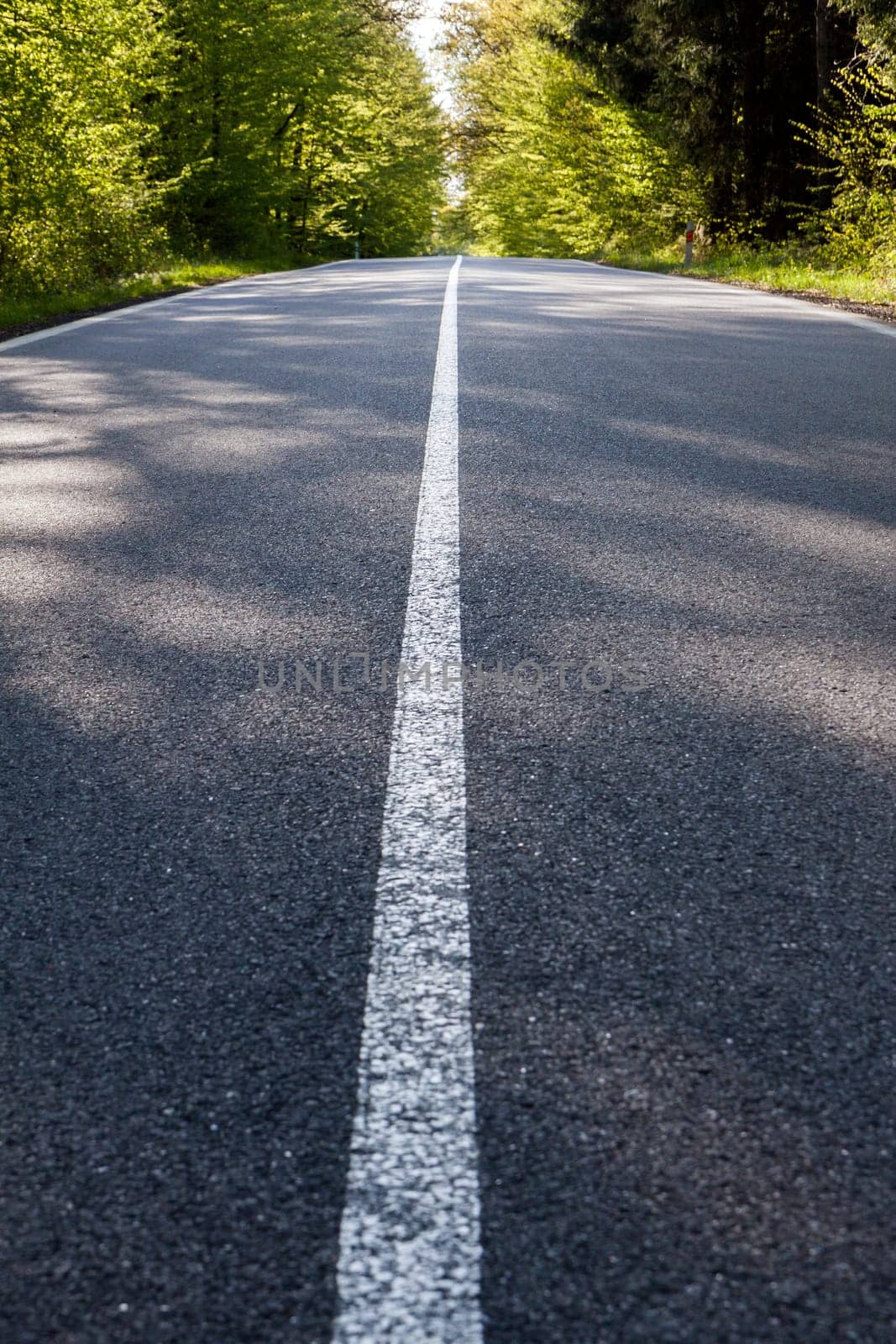 Country asphalt road with tree and sunset flare.