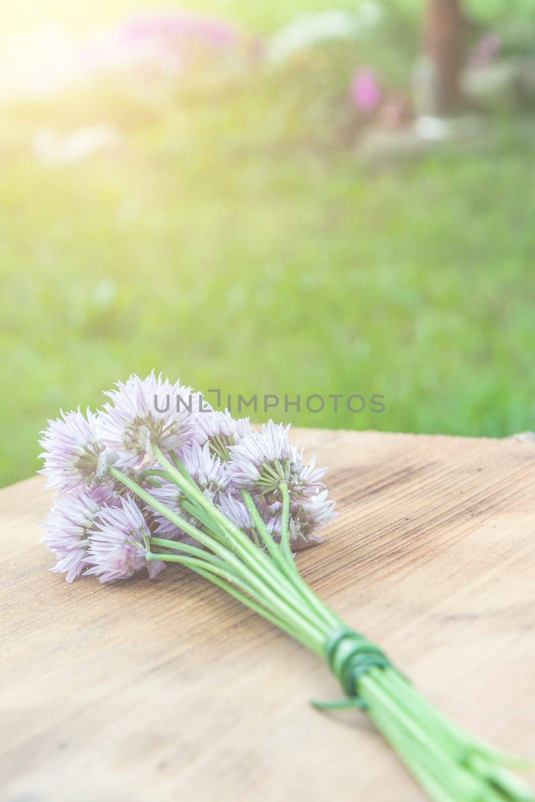 Flower chives tied in a snop on a natural wooden cutting board