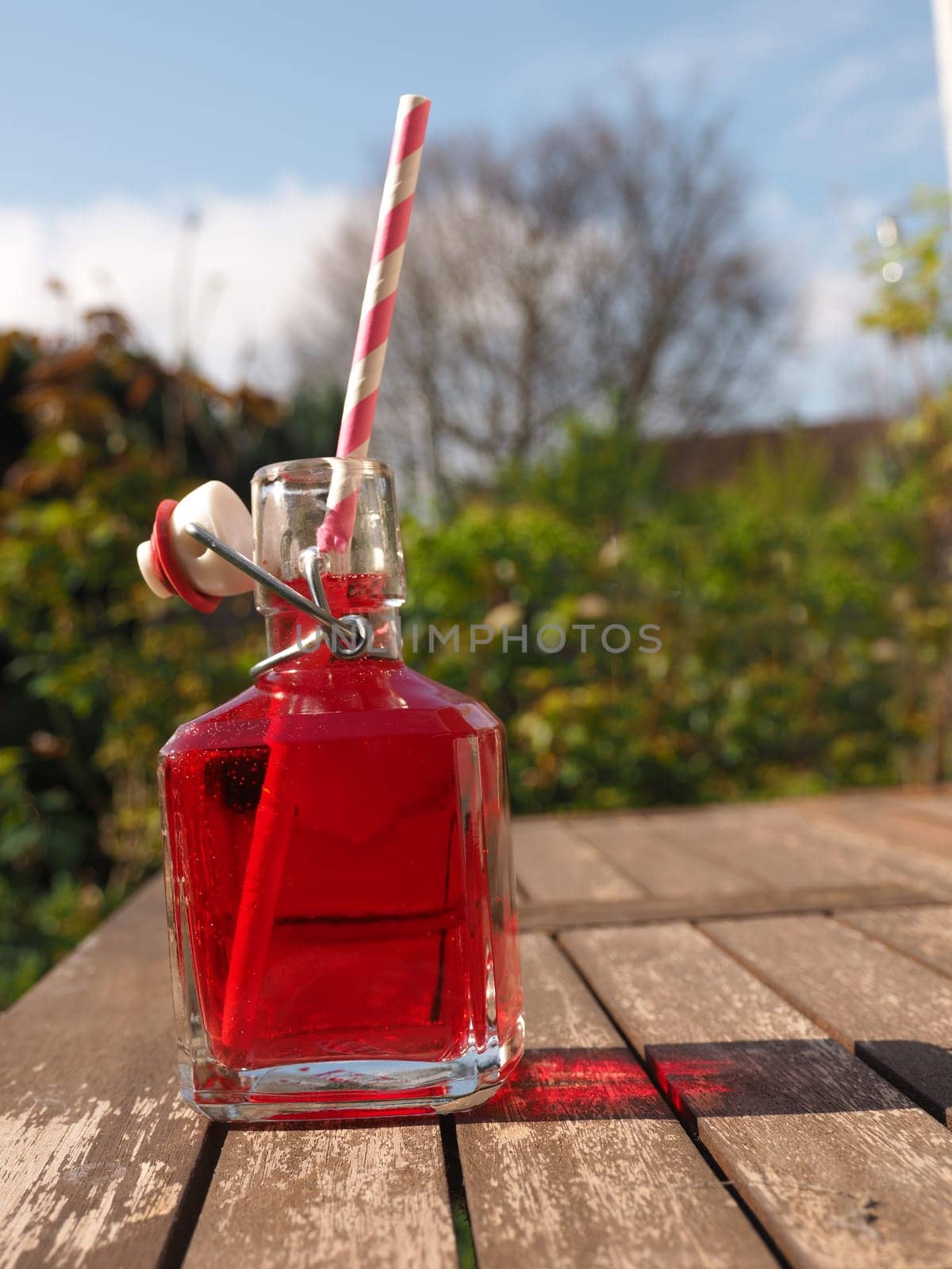 Fresh red juice in a bottle on a garden table