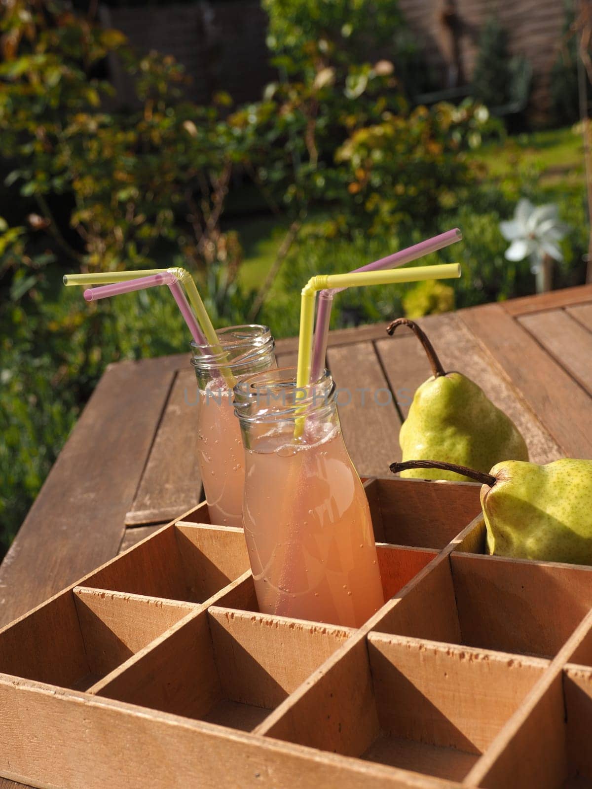 Organic homemade juice in bottles on a garden table
