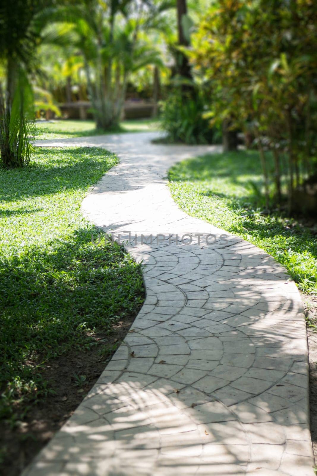 Green Garden Pathway In Summer, stock photo
