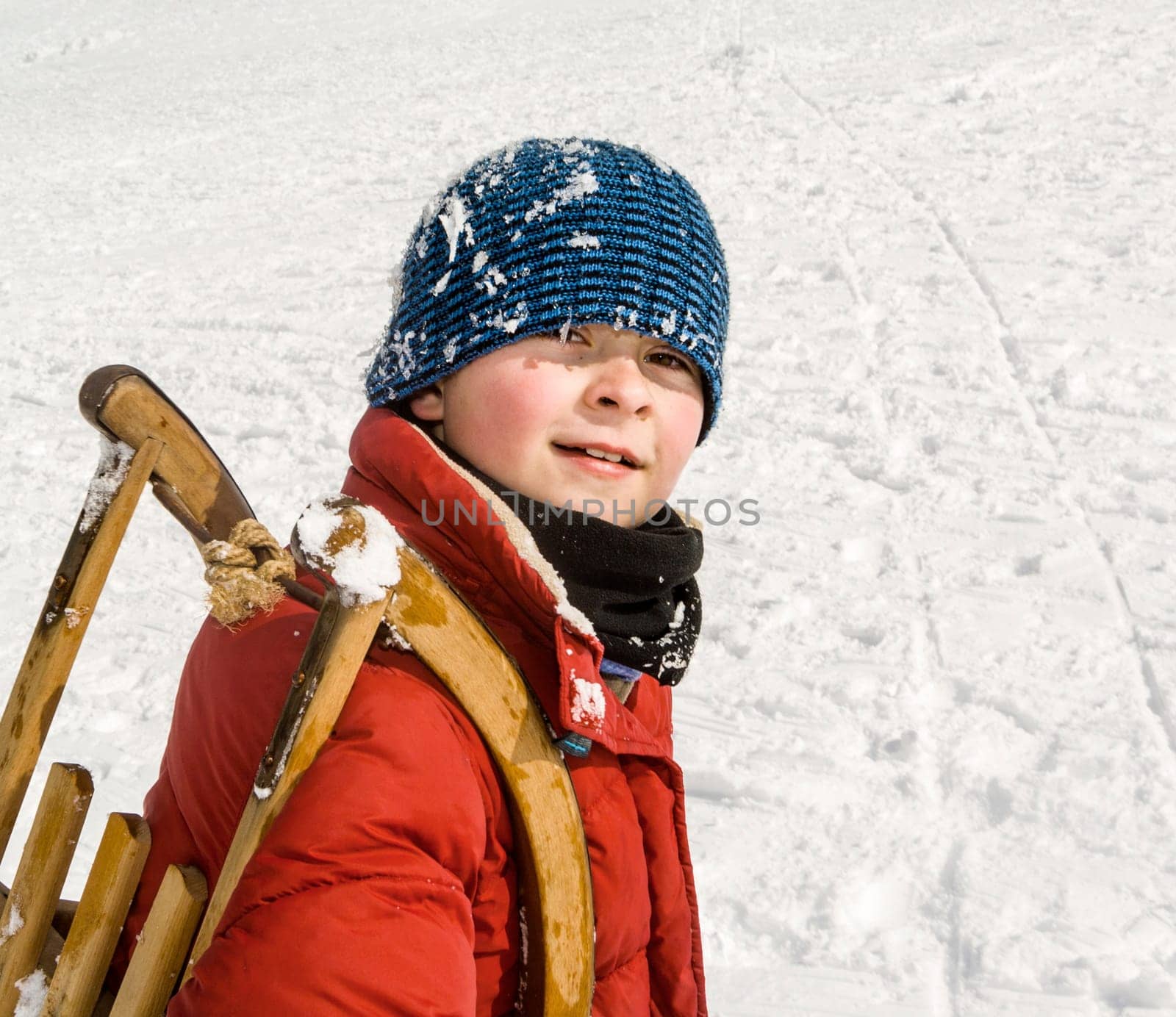 boy carries his sledge up the hill in winter