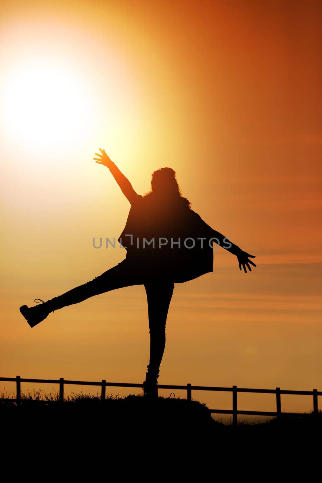Girl in silhouette over a fence at sunset