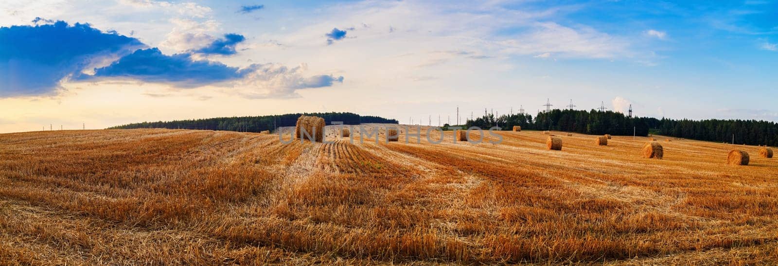 Autumn field with hay bales after harvest. Field of cut grass with straw bales. Beautiful sunset sky. Rural landscape with haystacks. Panoramic shot.