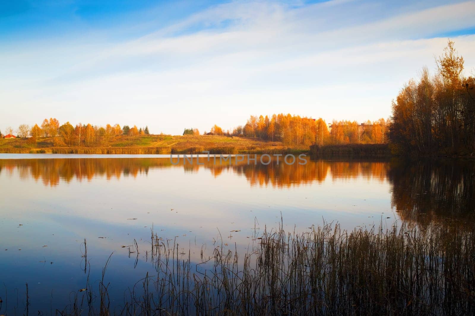 Picturesque autumn landscape. Lake with thickets of trees along the banks and blue sky.
