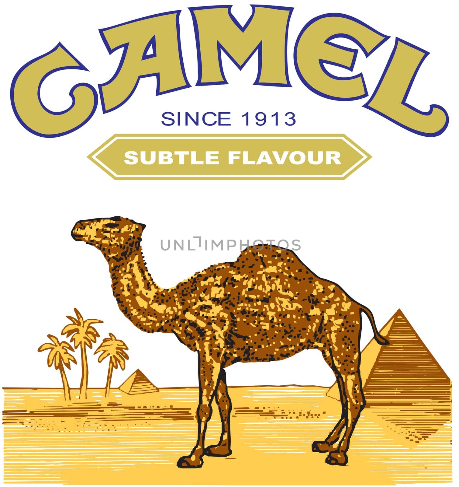 camel cigarette illustration brand