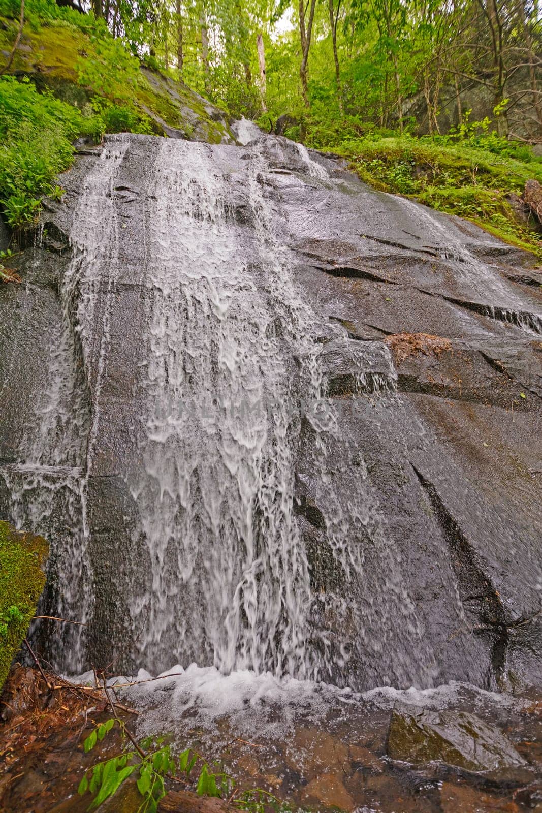 Cascade Coming out of the Woods in the Smoky Mountains of Tennessee