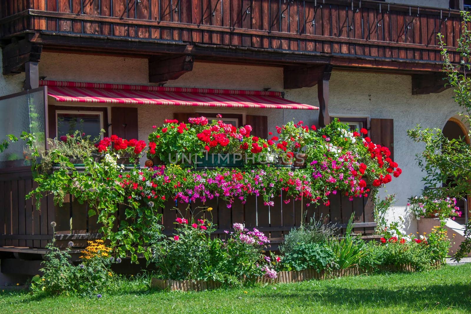 Alp house with a balcony with flower boxes, Tirol, Austria