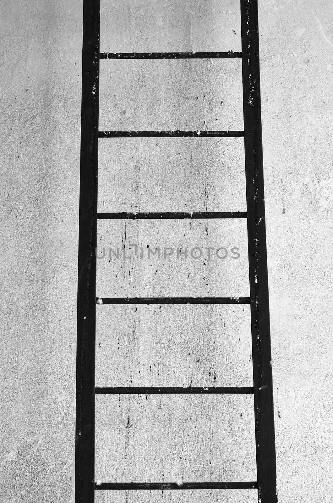 Fire Escape Steel Ladder