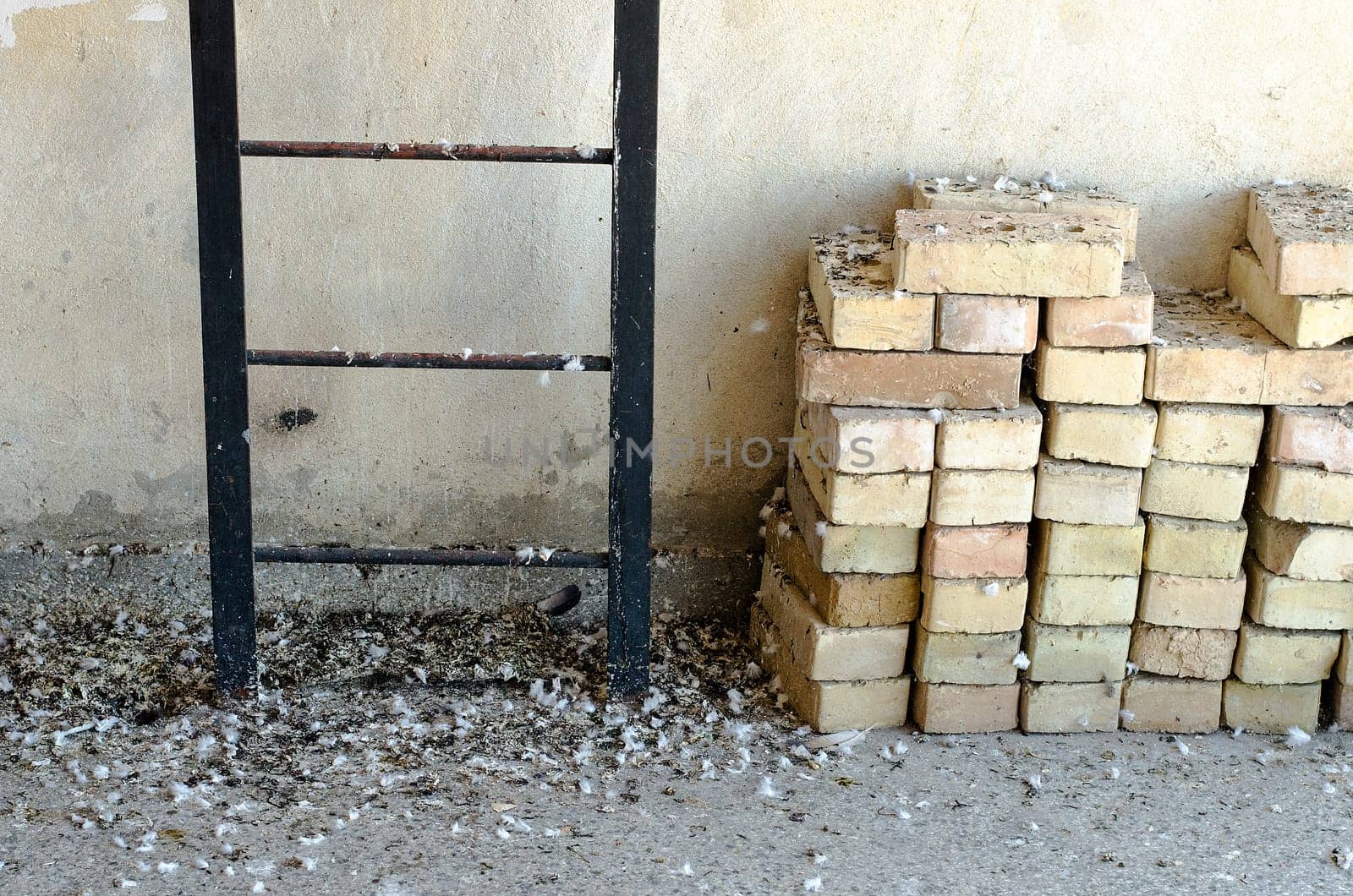 Pile of old bricks
