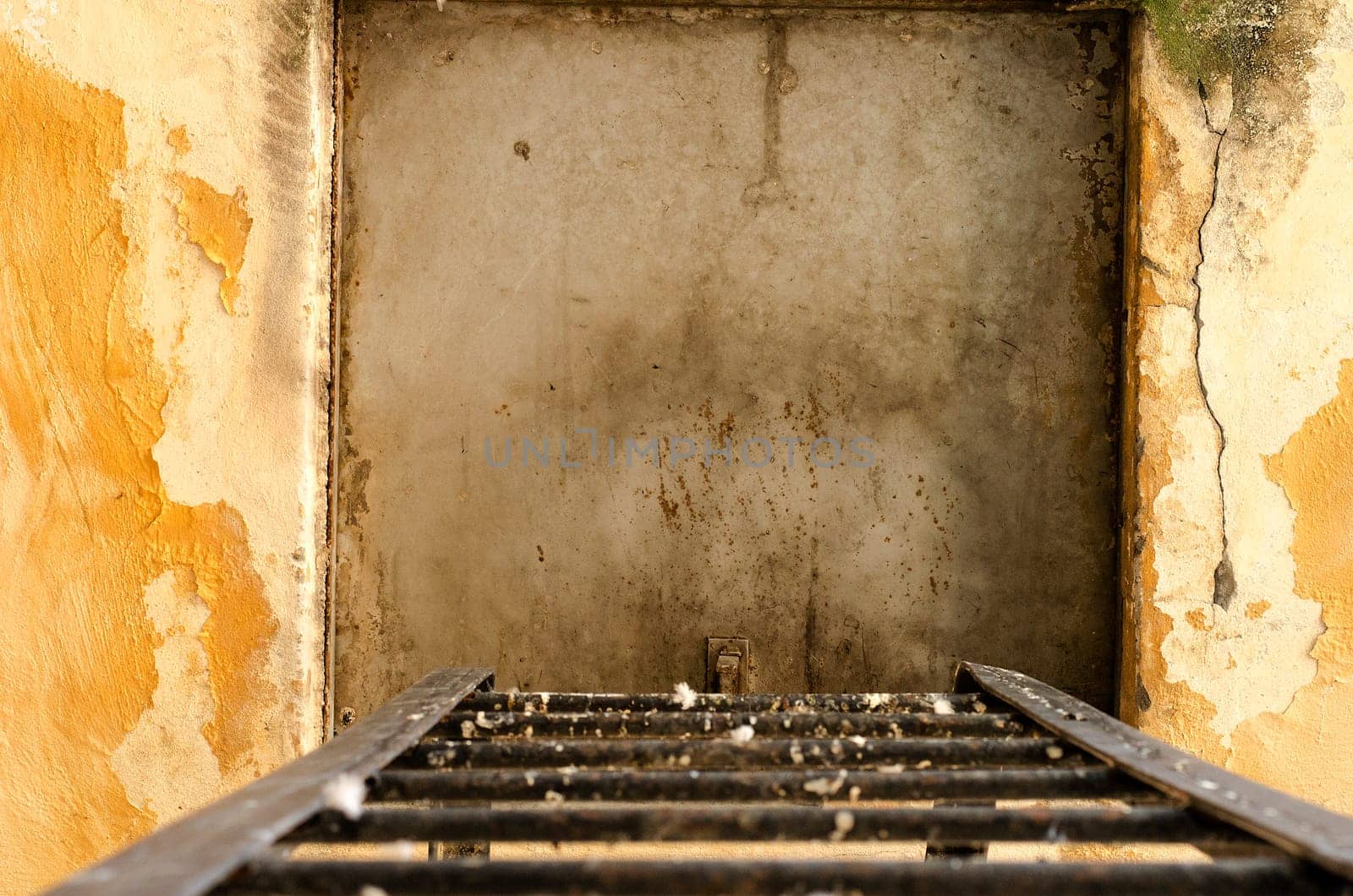 Fire Escape Steel Ladder